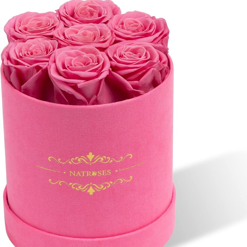Natroses Preserved Pink Roses in a round box